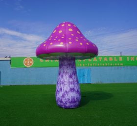 S4-525 гигантский гриб