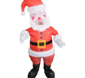 IC1-005 рождественский костюм