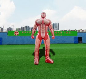 S4-486 Огромные надувные мышцы человеческого тела